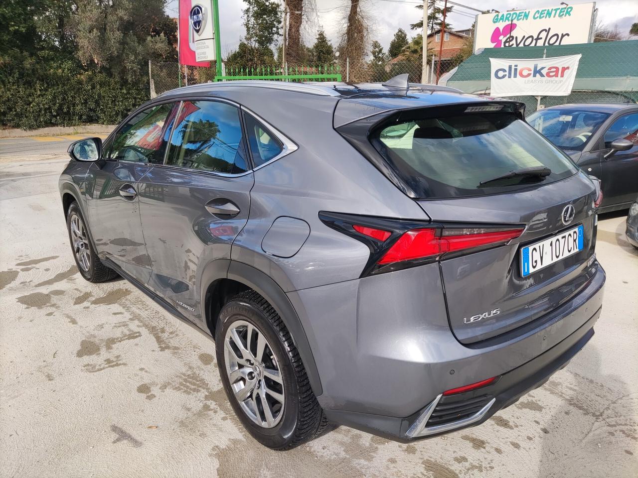 Lexus NX 300h NX Hybrid 4WD Premium