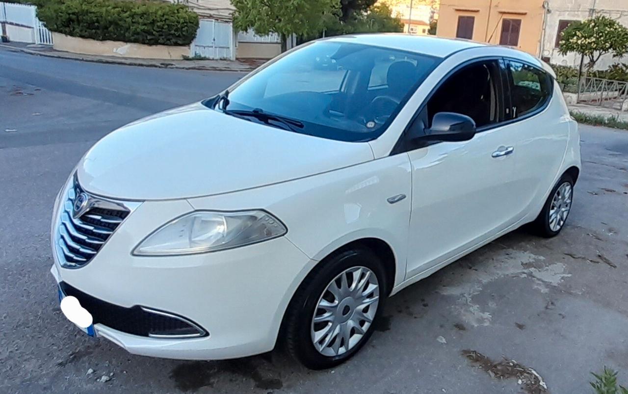 Lancia Ypsilon 1.3 MJT 16V 95 CV 5 porte S&S Platinum