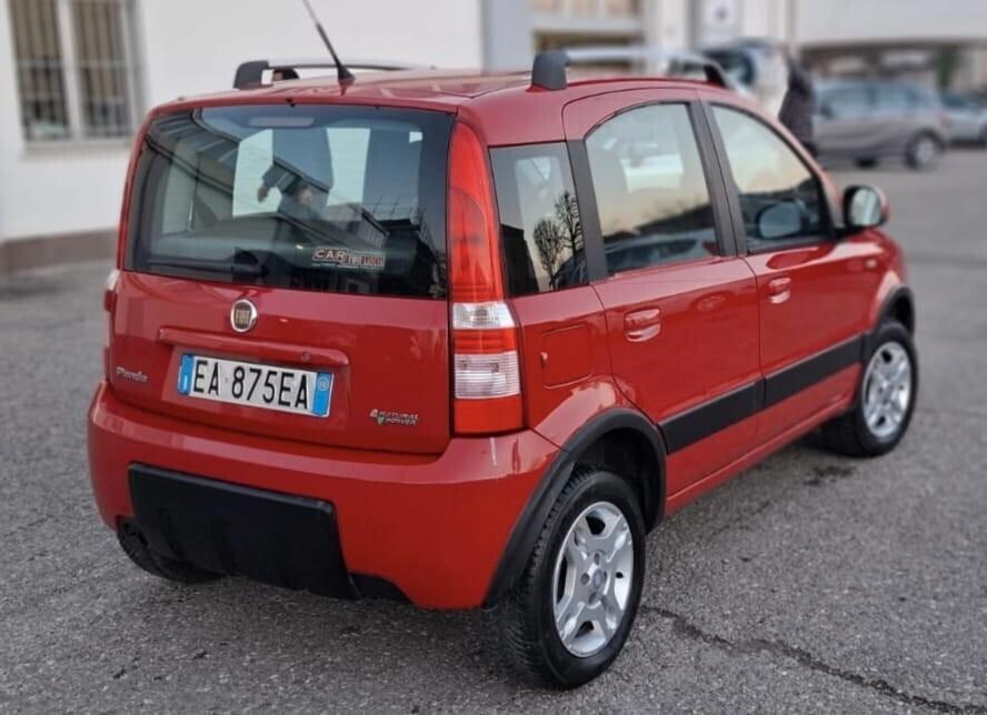 Fiat Panda 1.2 Natural Power Van Active 2 posti