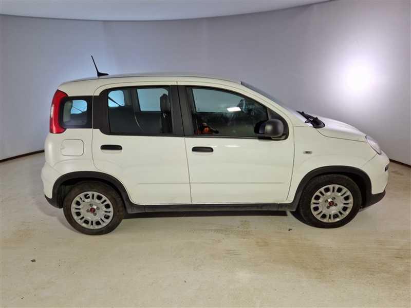 FIAT PANDA 1.0 FireFly 70cv S/S Hybrid 5 PORTE