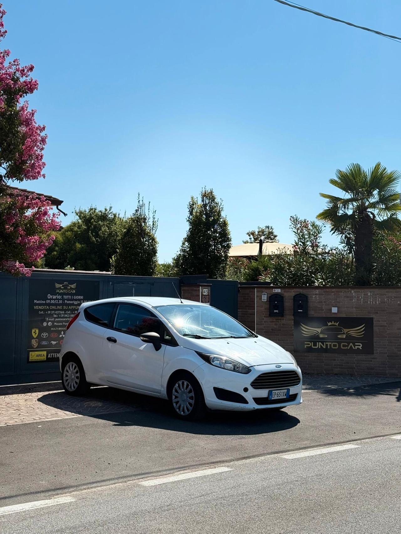 Ford Fiesta 1.5 TDCi 75CV 3 porte Van Entry