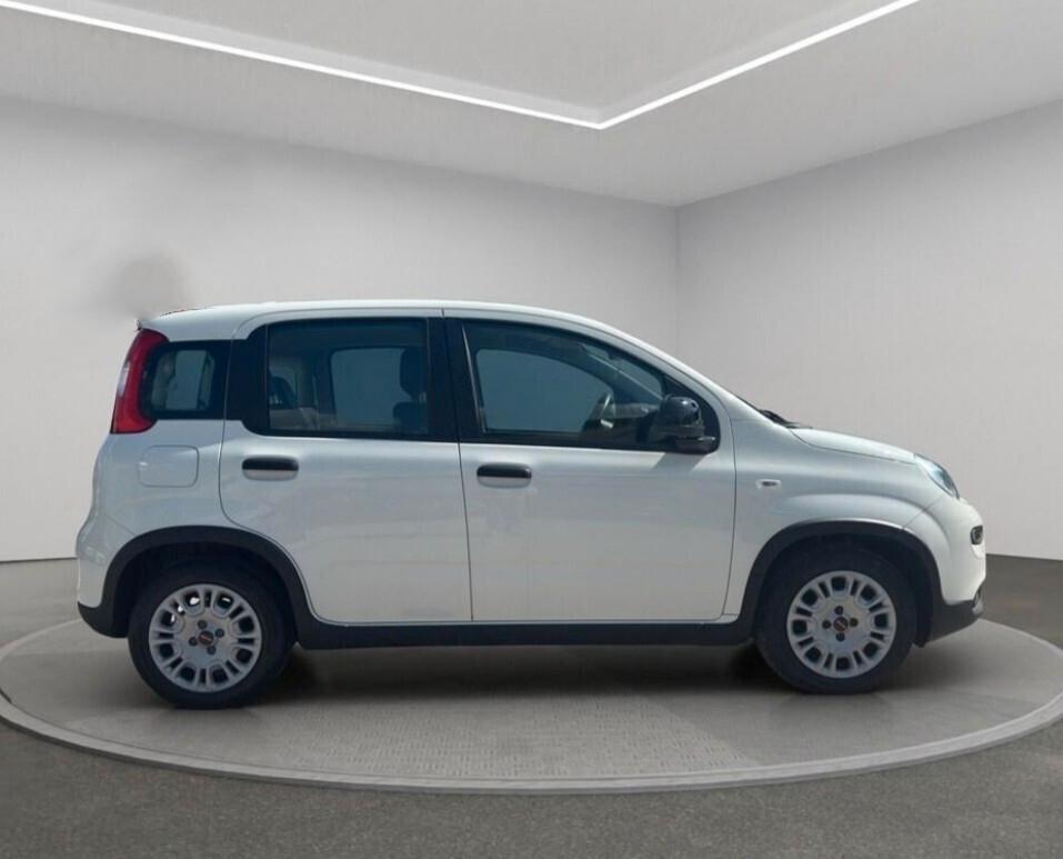 Fiat Panda 1.0 FireFly Hybrid 70cv PREZZO REALE