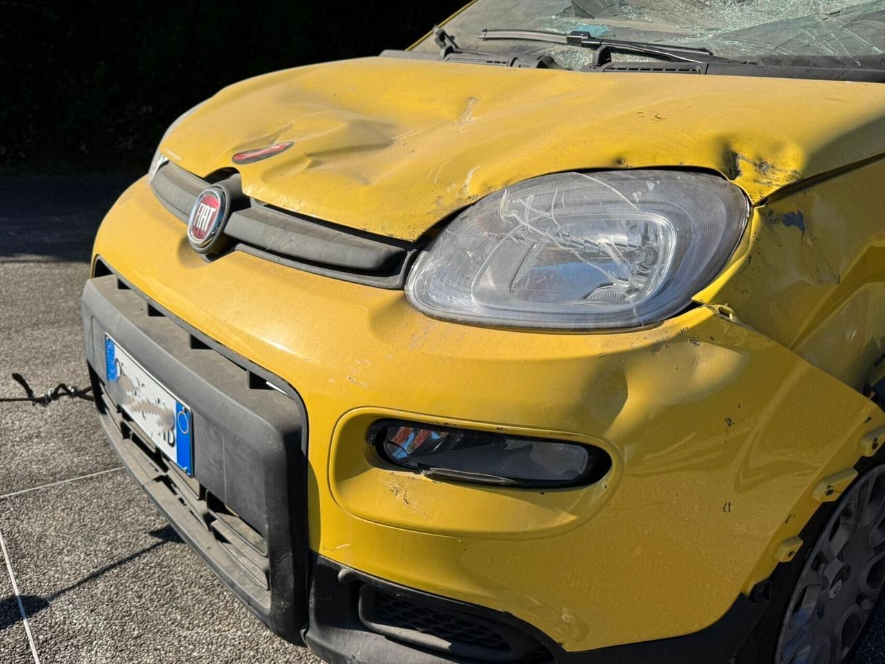 Fiat Panda 1.0 FireFly S&S Hybrid Pandina