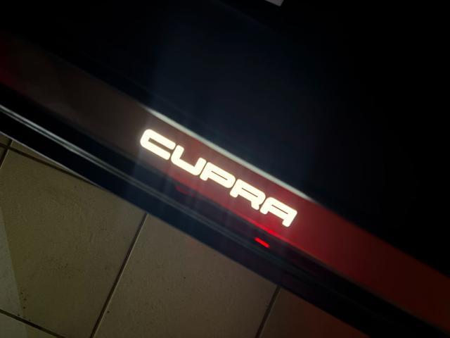 CUPRA Formentor 2.0 TDI 150 CV 4Drive DSG