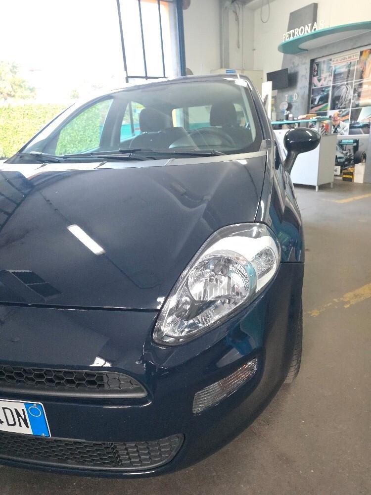 Fiat Punto 1.2 8V 5 porte Street