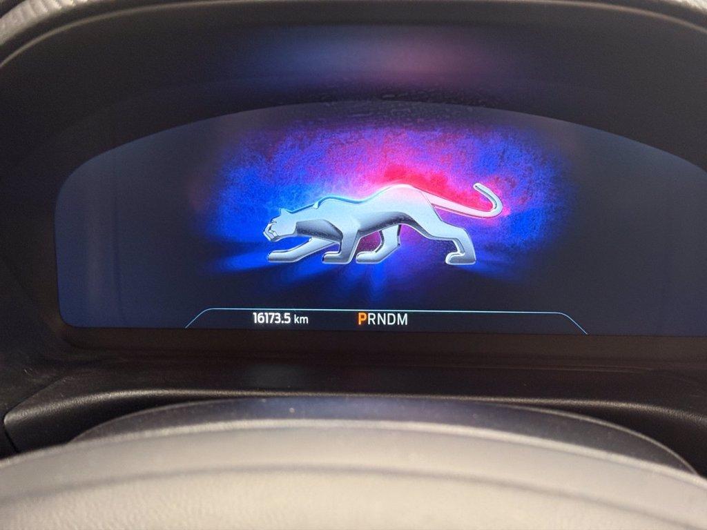 FORD Puma 1.0 EcoBoost Hybrid 125 CV S&S aut. ST-Line X del 2023