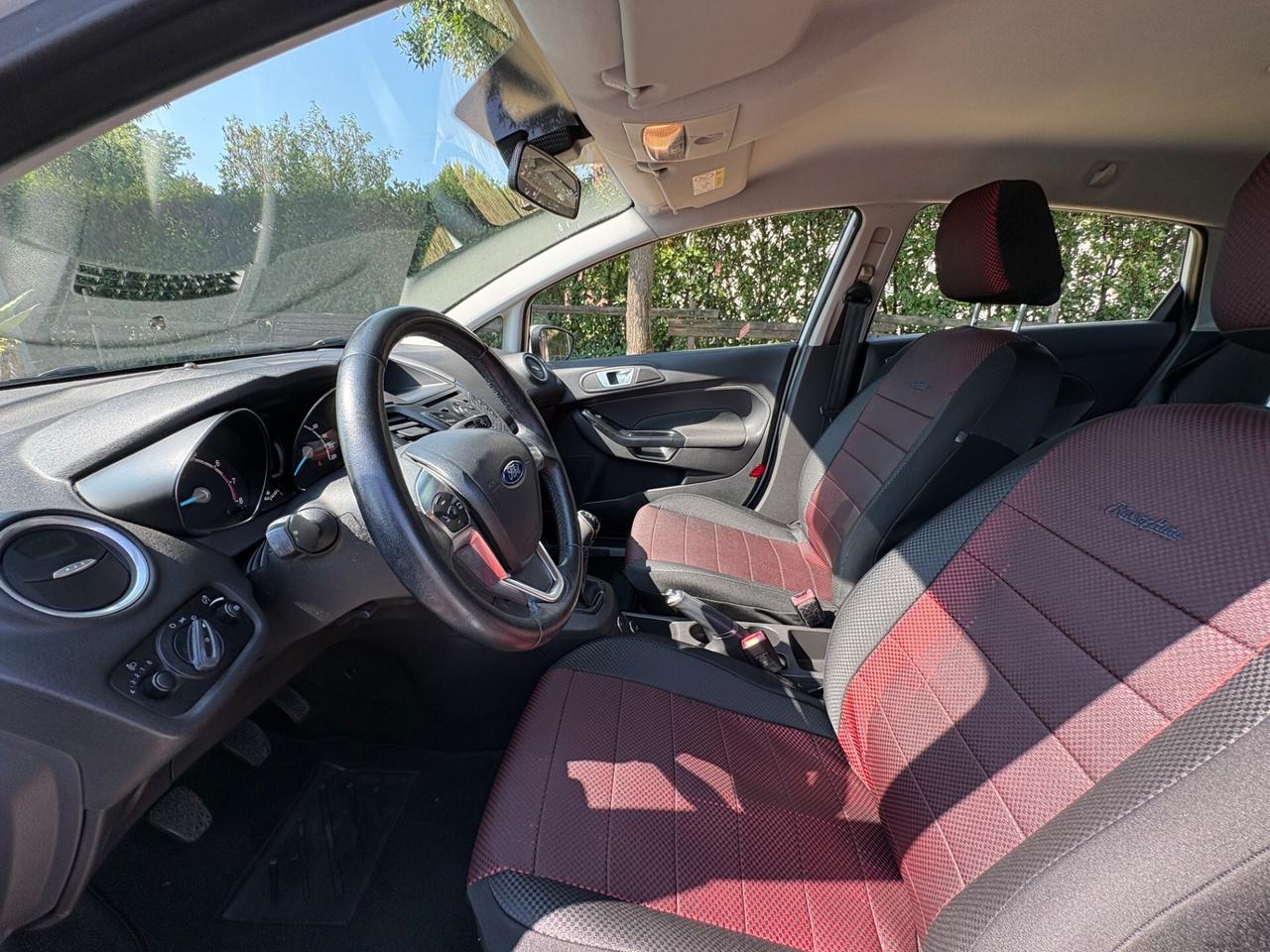 Ford Fiesta 1.4 5 porte Bz.- GPL Black & White Edition