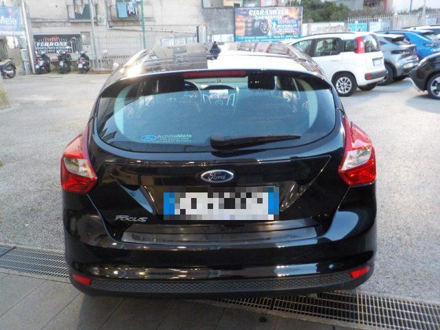 FORD Focus 1.6 Benzina 125 CV Plus
