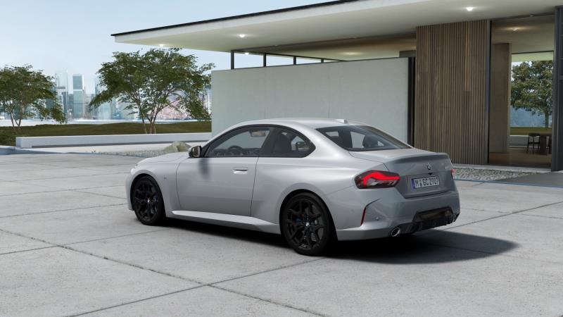 BMW Serie 2 Coupe 220 i Steptronic