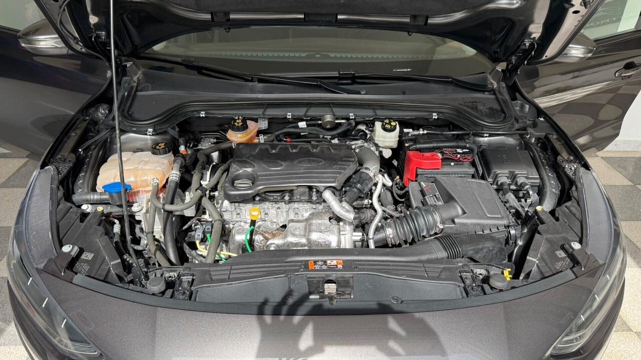 Ford Focus 1.5 EcoBlue 120 CV SW Business