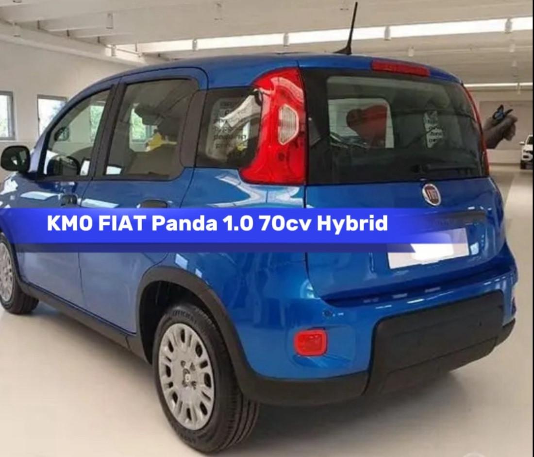 Fiat Panda 1.0 FireFly S&S Hybrid