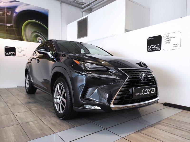 Lexus NX 1ª serie Hybrid Business