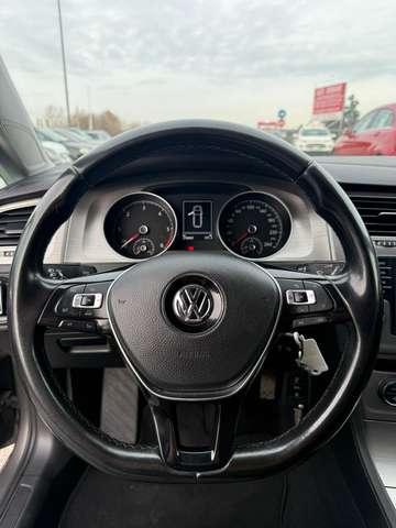 Volkswagen Golf Variant Golf VII 2013 Variant 1.6 tdi Executive 110cv