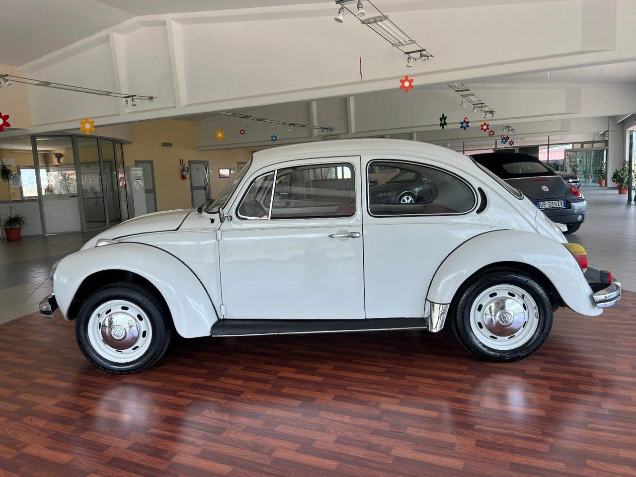 Volkswagen Maggiolino