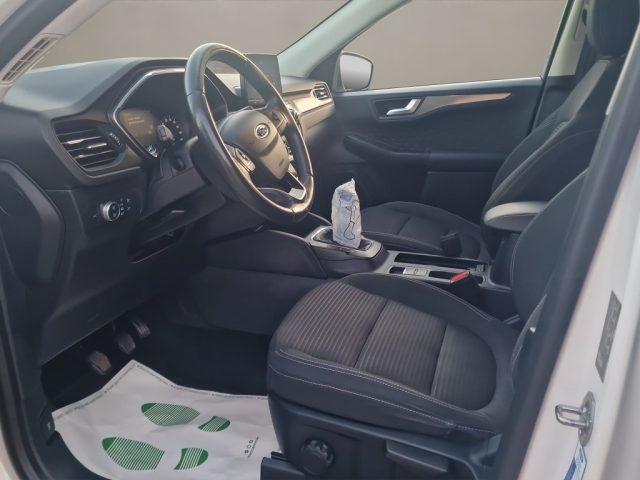 FORD Kuga 2.0 EcoBlue Hybrid 150 CV 2WD Titanium
