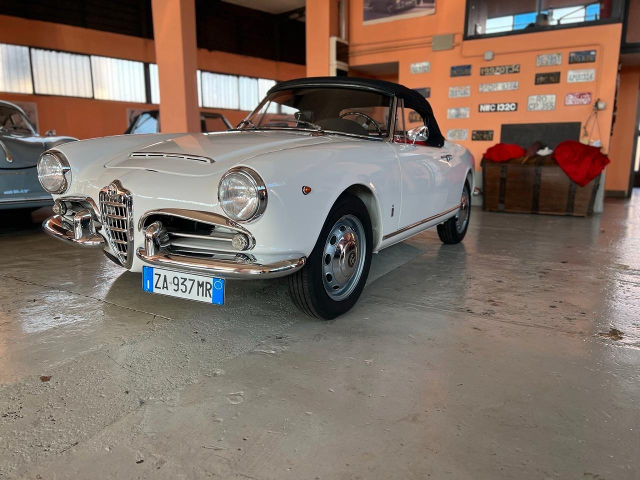 Alfa Romeo Giulia spider 1964