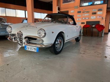 Alfa Romeo Giulia spider 1964