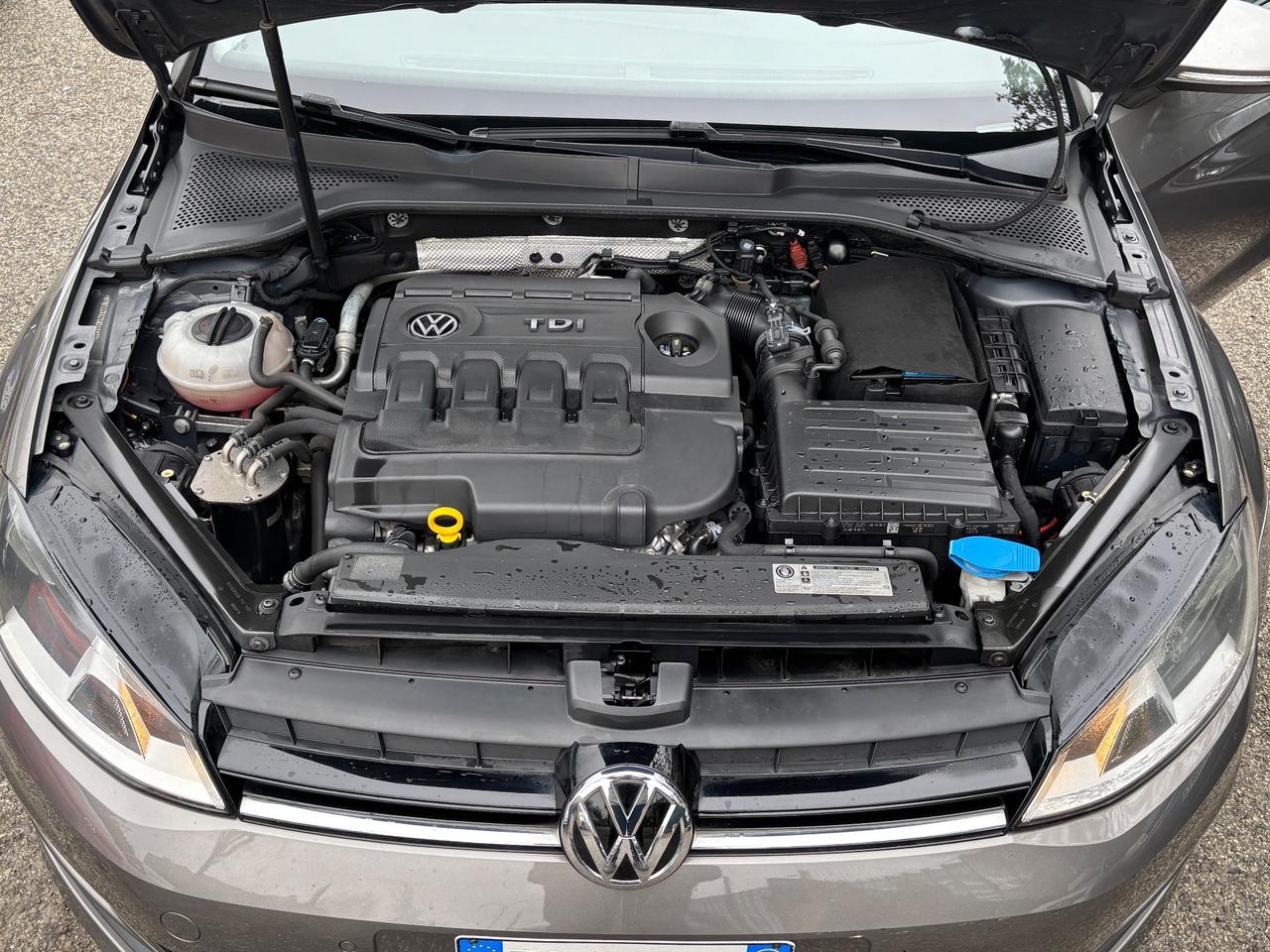 Volkswagen Golf 1.6 TDI 90 CV 5p. OK Neopatentati