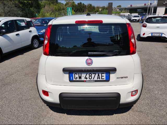 FIAT Panda 1.0 firefly hybrid s&s 70cv