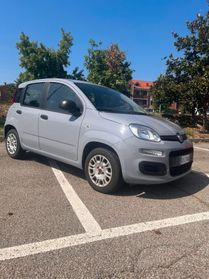 Panda 1.2 Connected by Wind