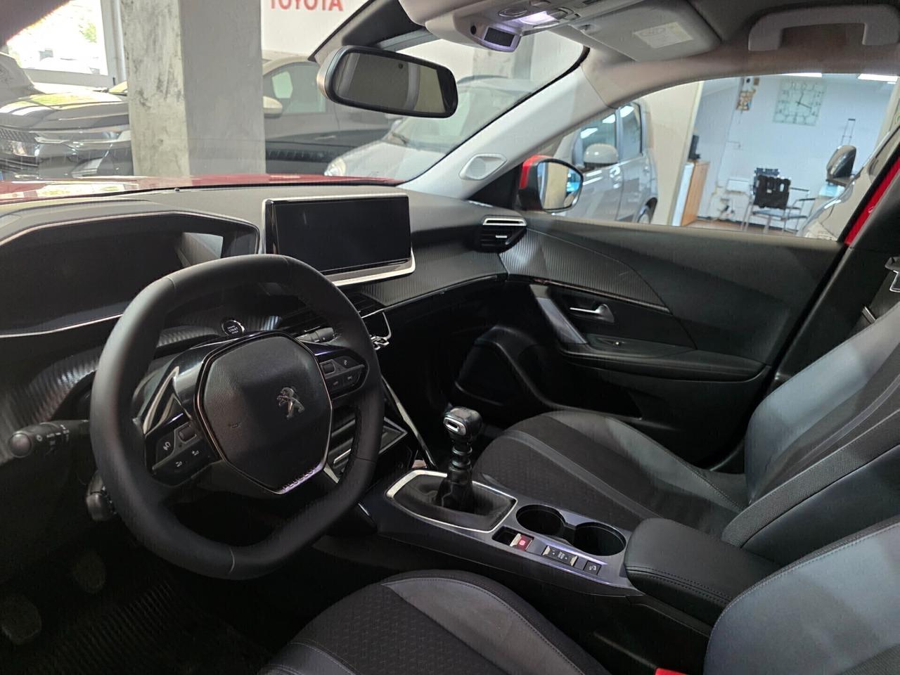 Peugeot 2008 1 5 BlueHDi 100cv S&S Allure
