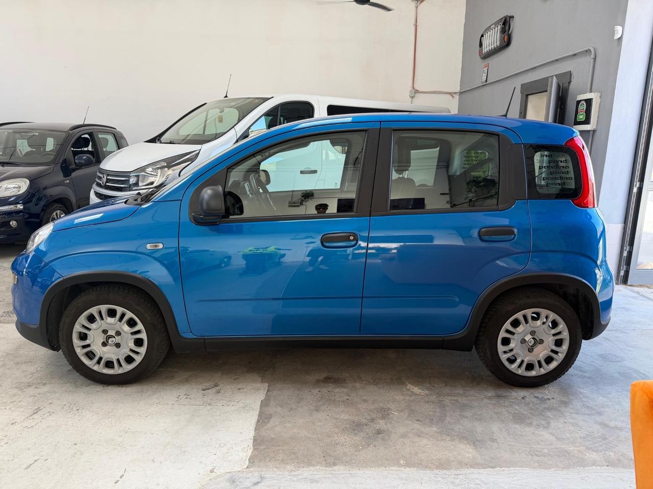 Fiat Panda 1.0 FireFly S&S Hybrid Pandina