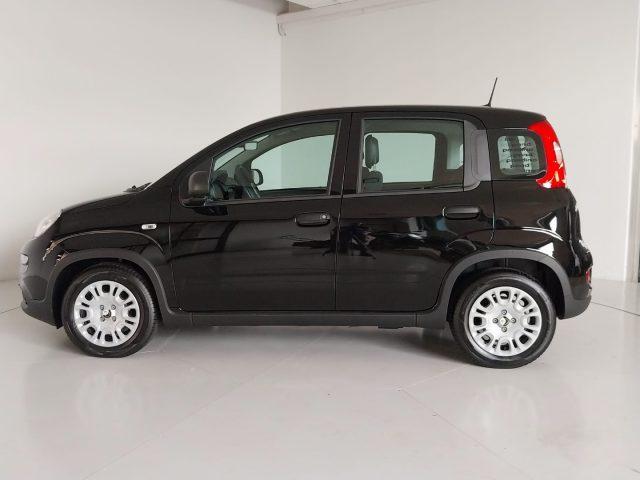 FIAT Panda 1.0 FireFly S&S Hybrid Pandina