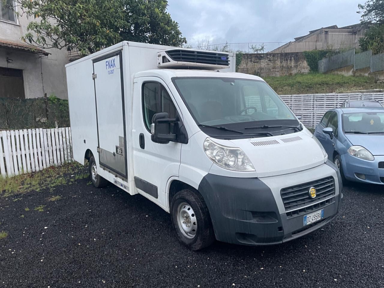 Fiat Ducato Frigo