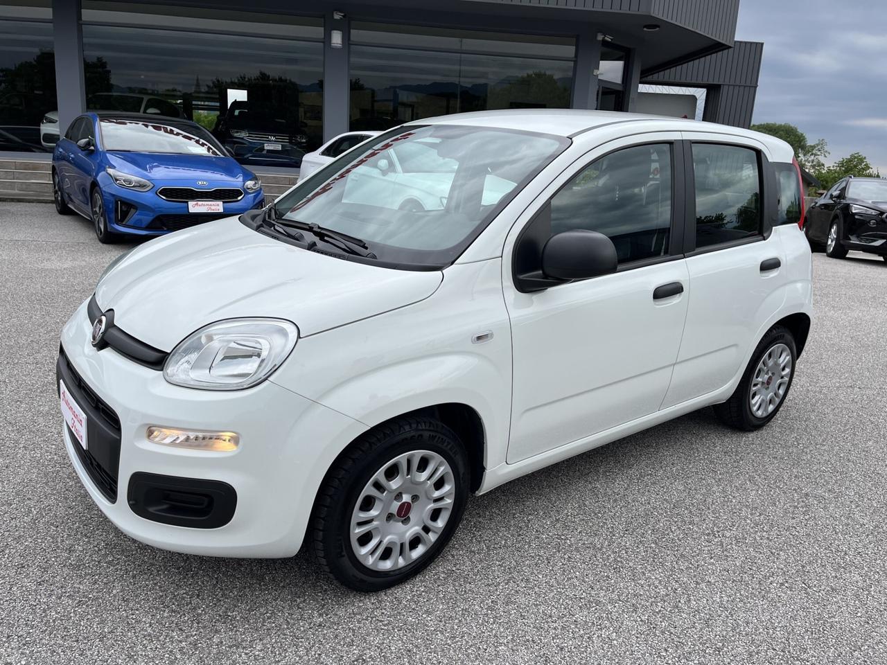 FIAT PANDA 1200 CC 69 CV EASY