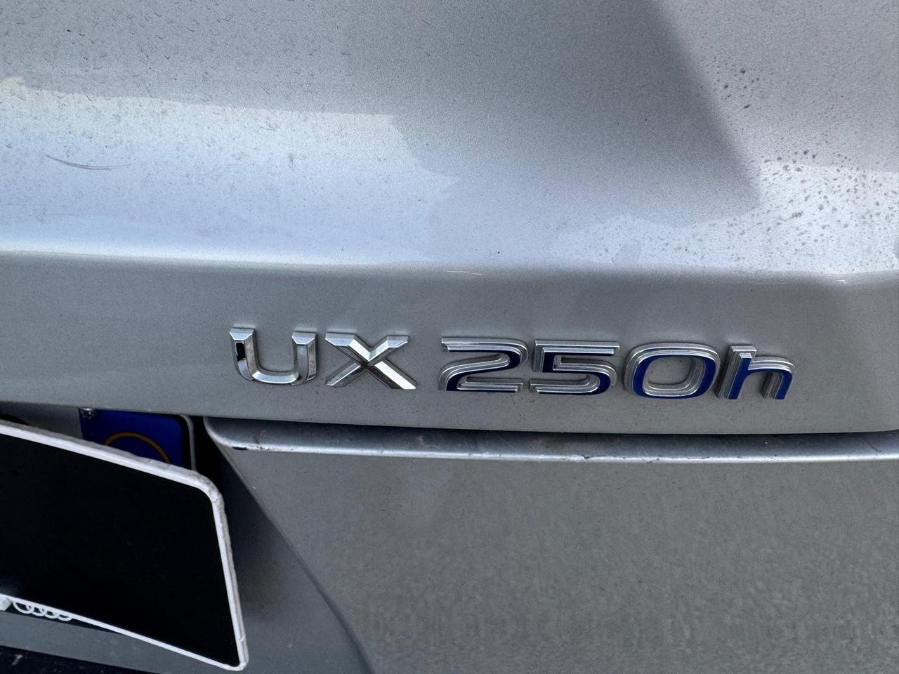 Lexus UX UX Hybrid Executive