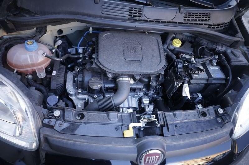 FIAT Panda 1.0 FireFly S&S Hybrid Unicoproprietario