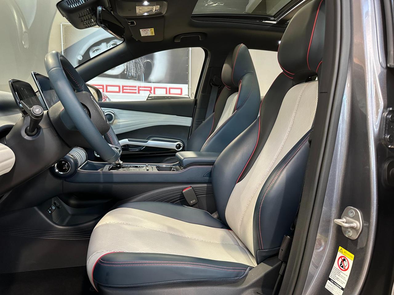 Byd Atto 3 60,48 kWh Design-Tetto-Camera 360-FULL