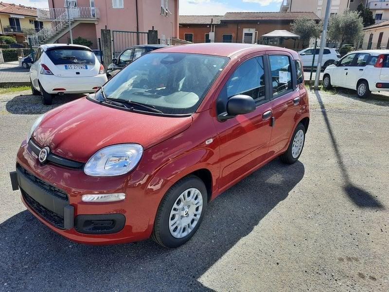 FIAT Pandina PANDA MY26 1.0 65CV HYBRID ICON