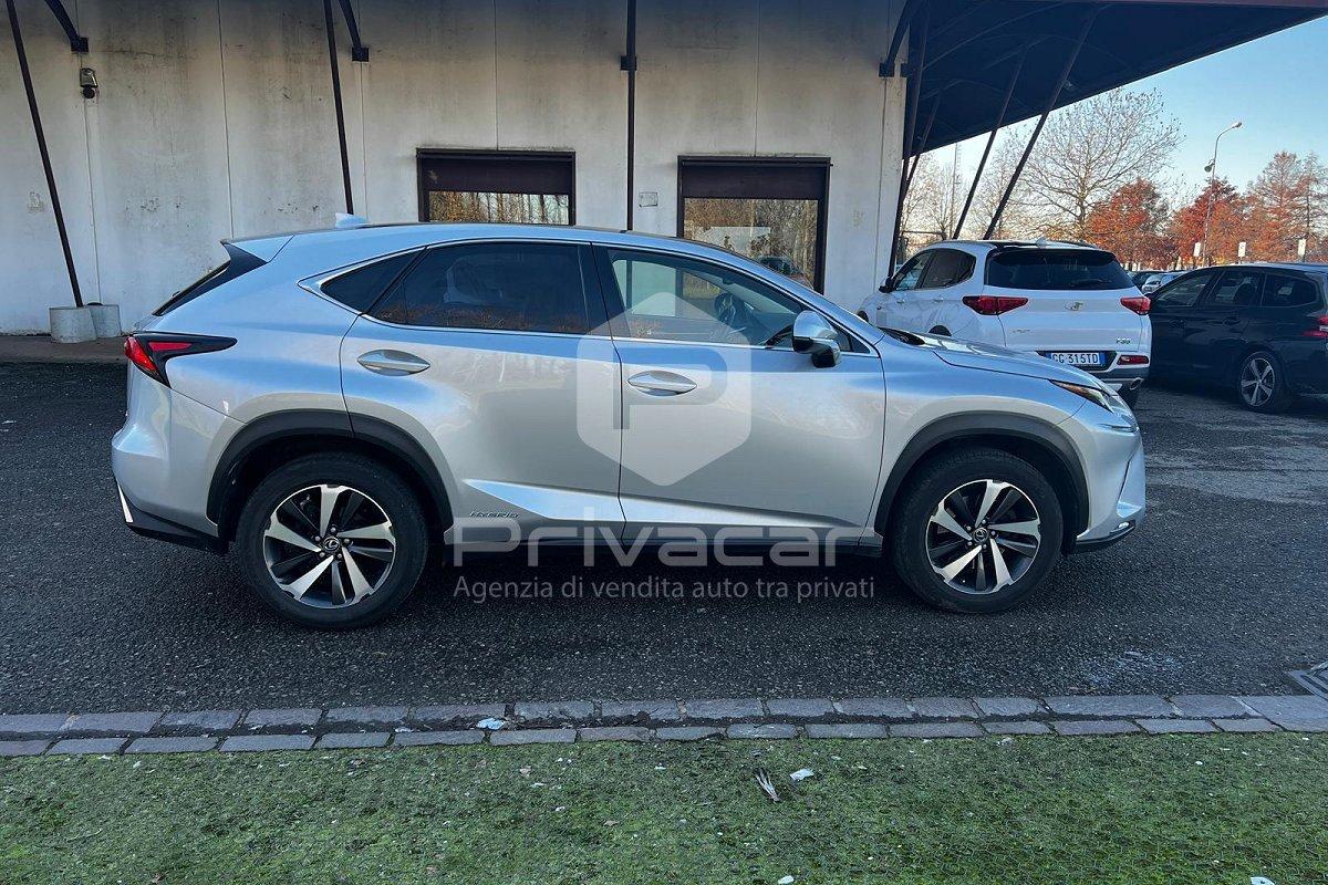 LEXUS NX Hybrid 4WD Luxury