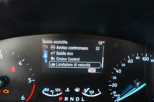 FORD Focus 1.5 EcoBlue 120 CV auto SW Co-Pilot