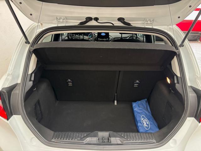 FORD Fiesta 1.0 Ecoboost Hybrid 125 CV 5 porte Active