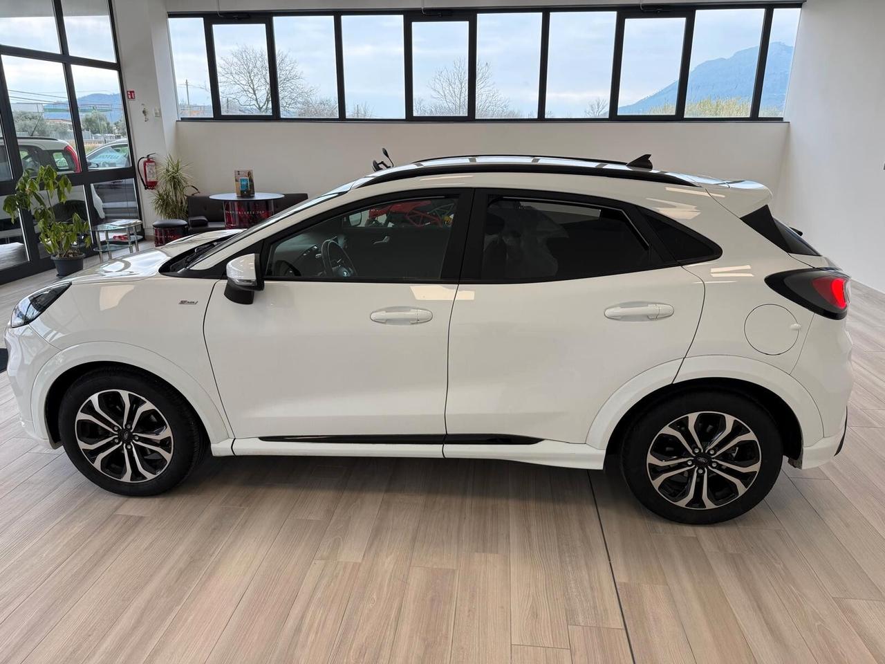 Ford Puma 1.5 ST-Line EcoBlue 120 CV S&S