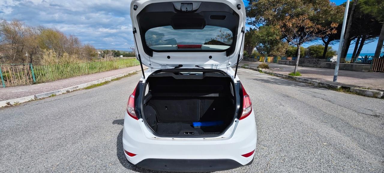 Ford Fiesta 1.2 82CV 5 porte Black & White Edition