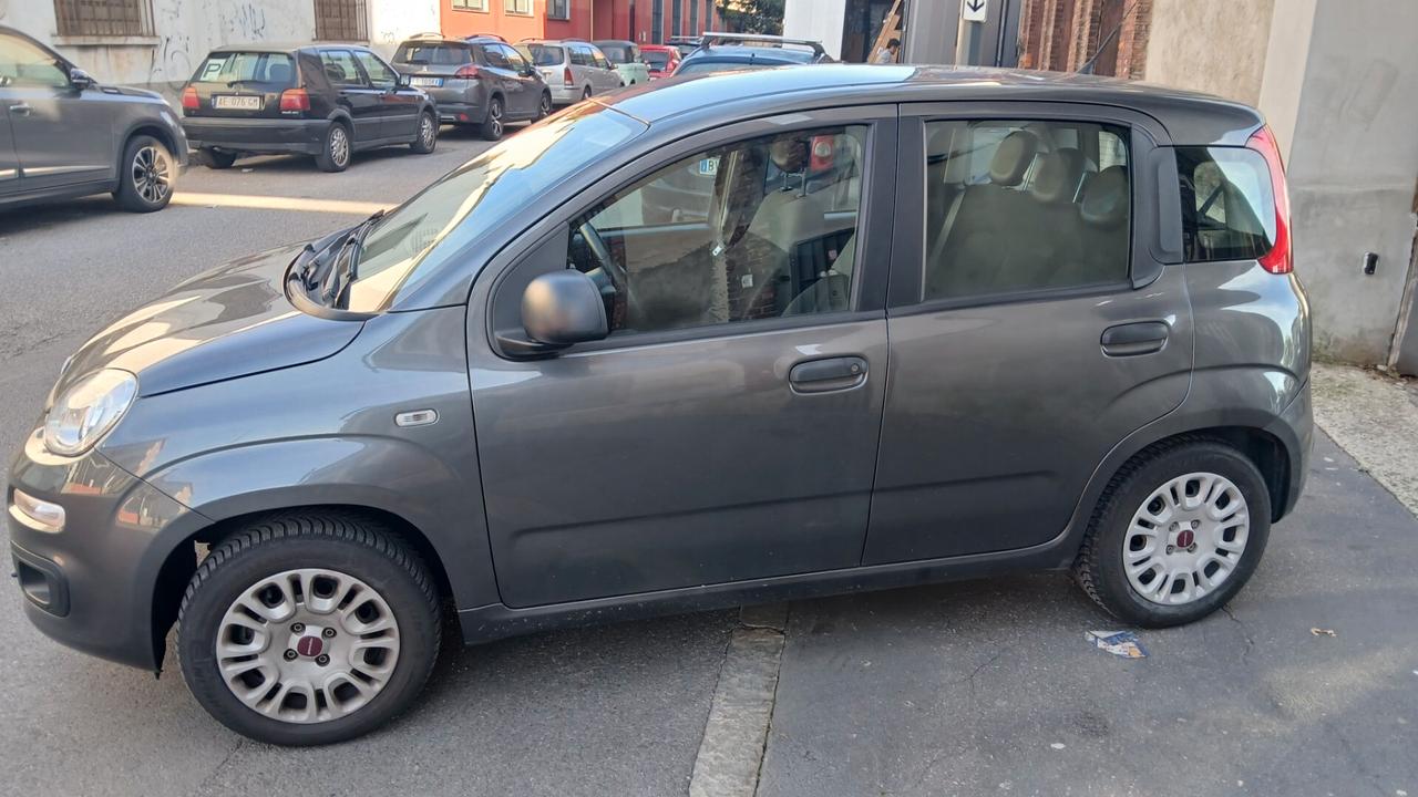 Fiat Panda 1.2 BENZINA 5 POSTI LOUNGE