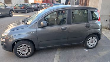 Fiat Panda 1.2 BENZINA 5 POSTI LOUNGE