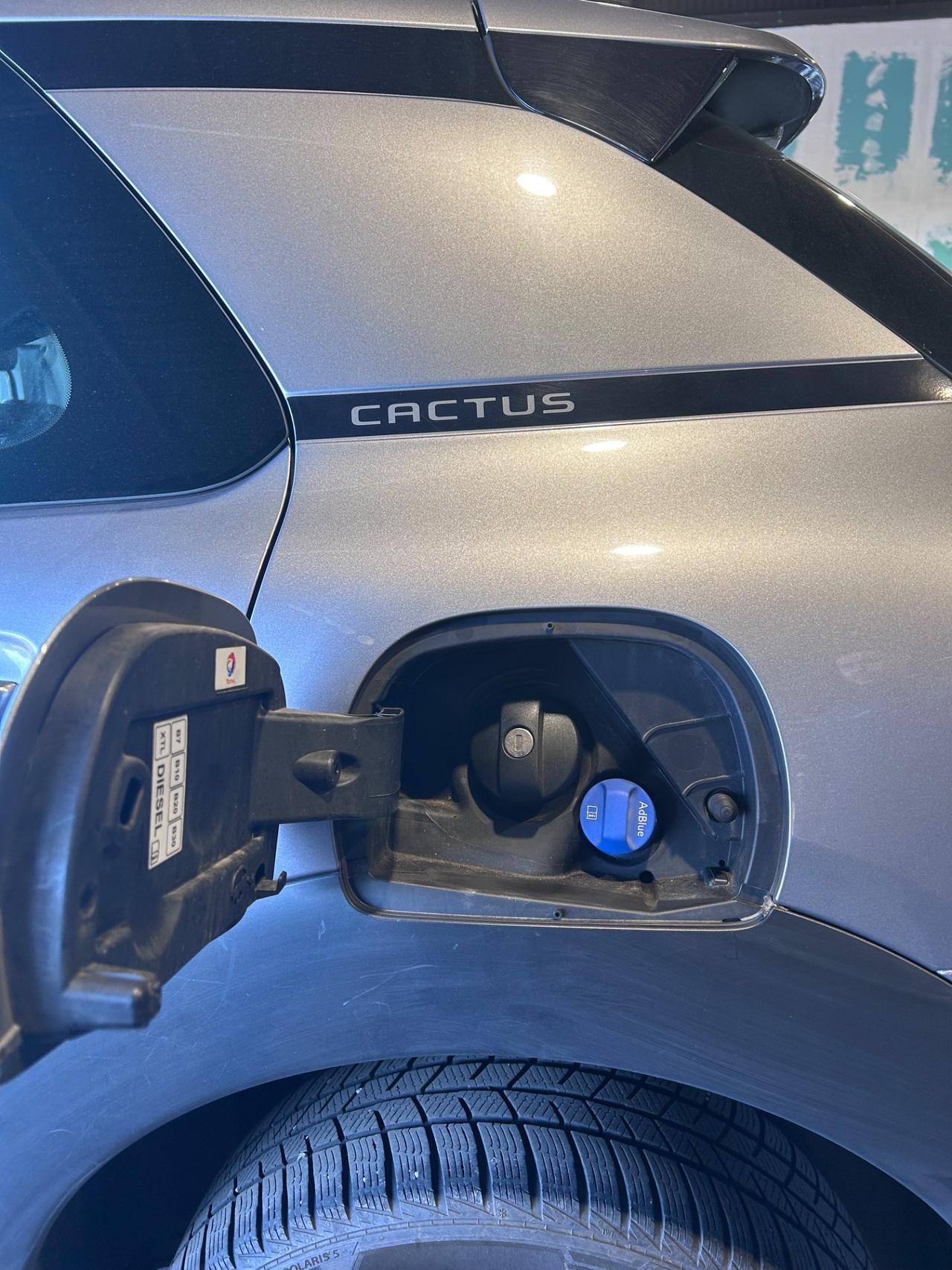 Citroen C4 Cactus BlueHDi 100 S&S Live