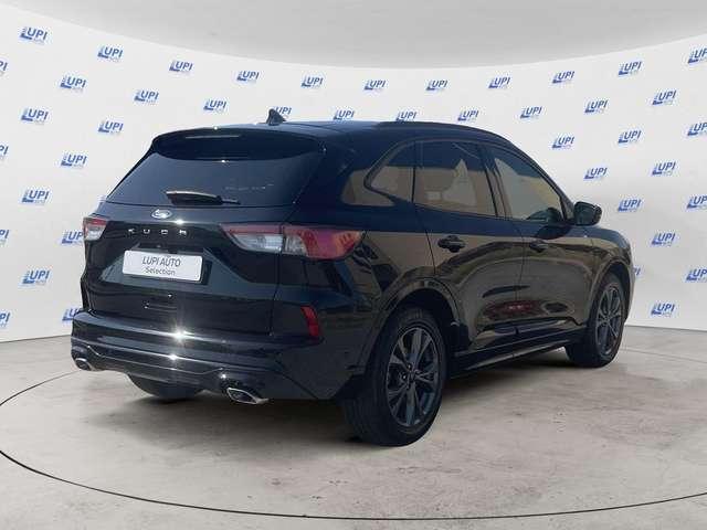 Ford Kuga 2.0 ecoblue ST-Line X awd 120cv auto