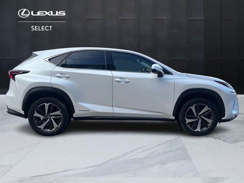 Lexus NX NX 300h 2.5 Luxury 4wd cvt IVA ESPOSTA