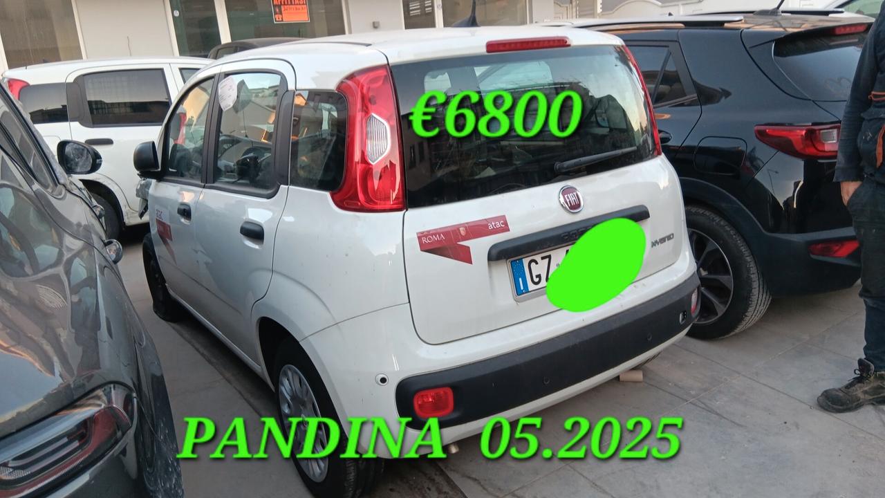 FIAT PANDINA INCIDENTATA SINISTRATA MONDIALCARS 025