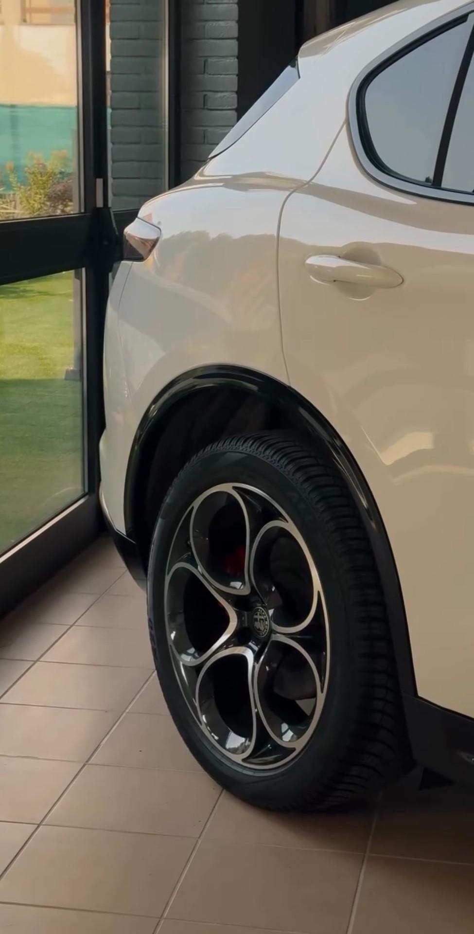 Alfa Romeo Stelvio 2.2 Q4 210 CV AT8 Veloce