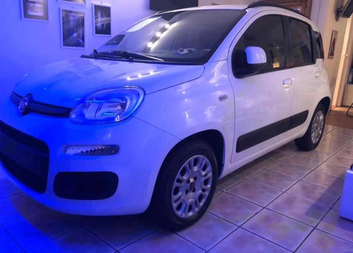 Fiat Panda 1.2 Lounge /RATE / FINANZIAMENTI