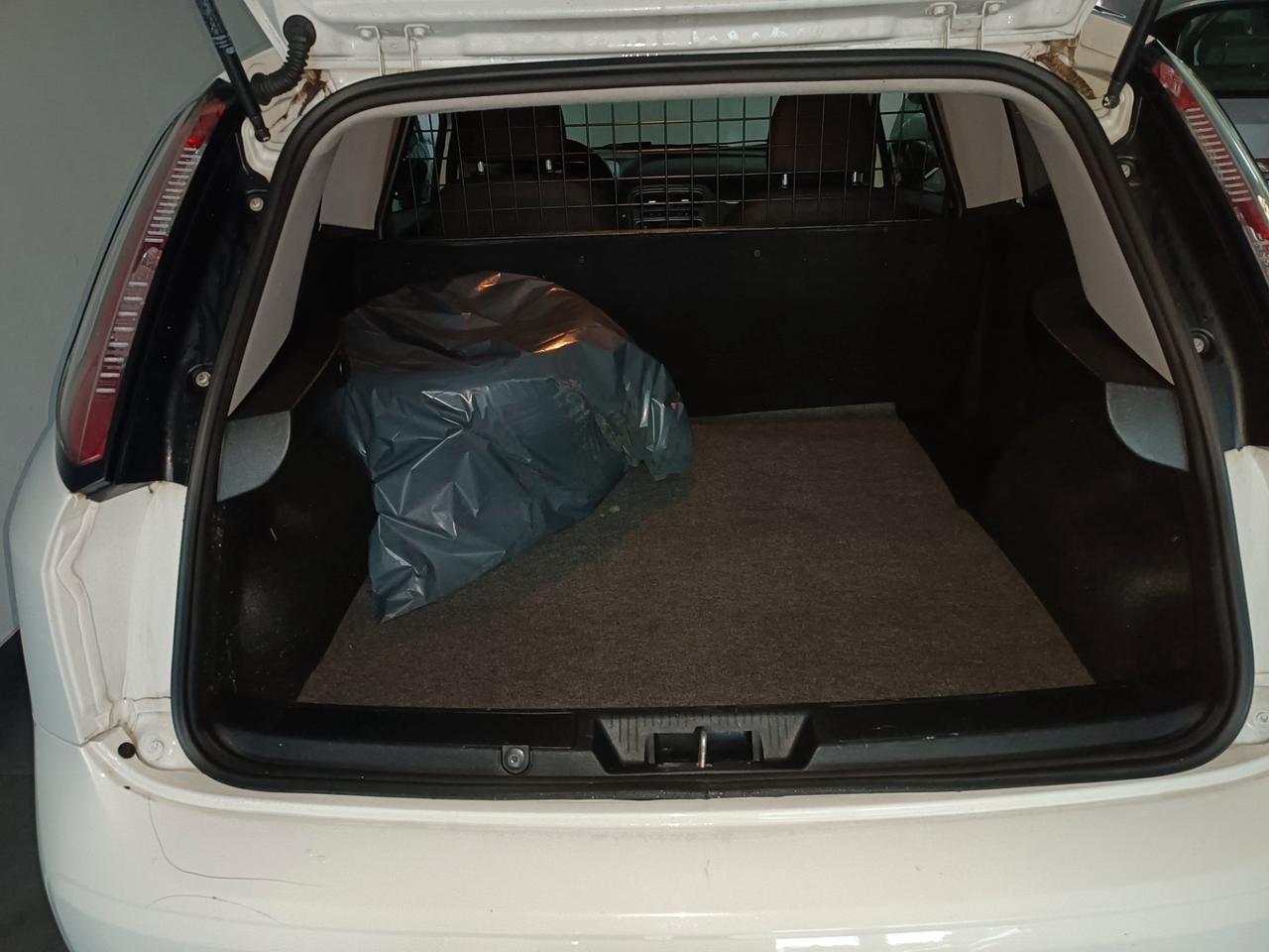 Fiat Punto Evo due posti autocarro