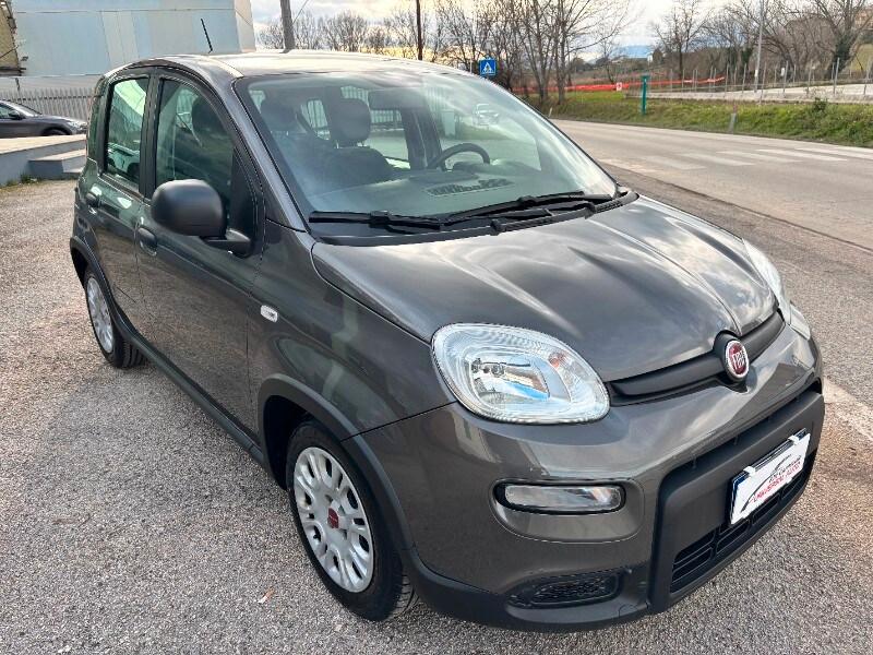 FIAT Panda 3ª serie Panda 1.0 FireFly S&S Hybrid