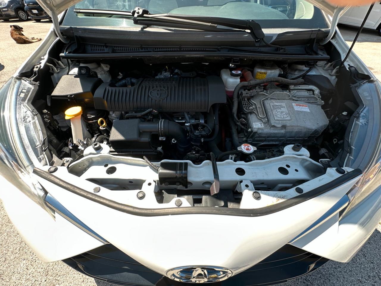 TOYOTA Yaris 1.5 Hybrid 5 porte Business