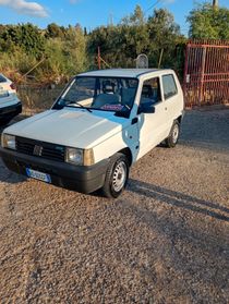 Fiat Panda 900 i.e. cat Young